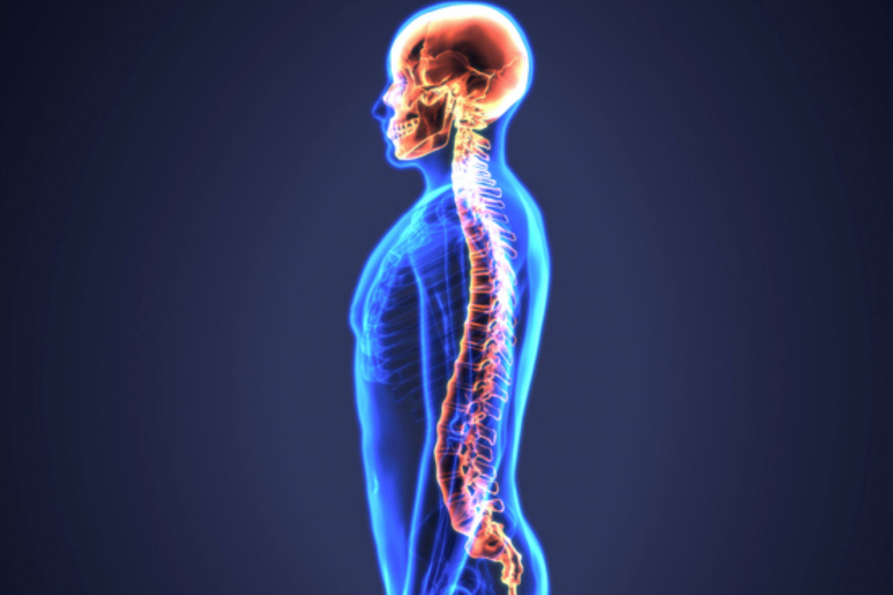 平衡咬合矯正：守護牙齒，更守護全身結構